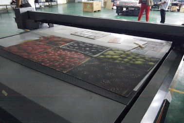 Curva UV da máquina de impressão do leito de Plexiglás/vidro/teto e ajuste da densidade fornecedor